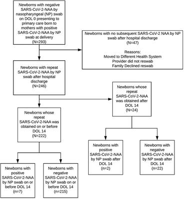 Prevalence of SARS-CoV-2 in newborns born to SARS-CoV-2-positive mothers at 2 weeks of life